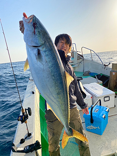 ブリの釣果