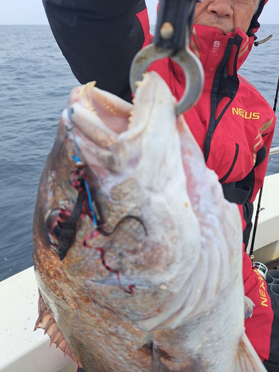 変酋長 (タイラバ96cm)さんの釣果 2枚目の画像