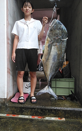 ロウニンアジの釣果