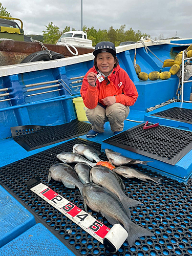 グレの釣果