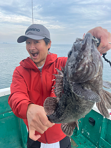 マゴチの釣果