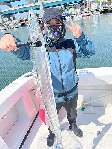 タチウオの釣果