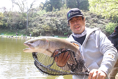 イトウの釣果