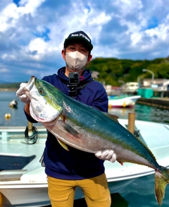 ブリの釣果