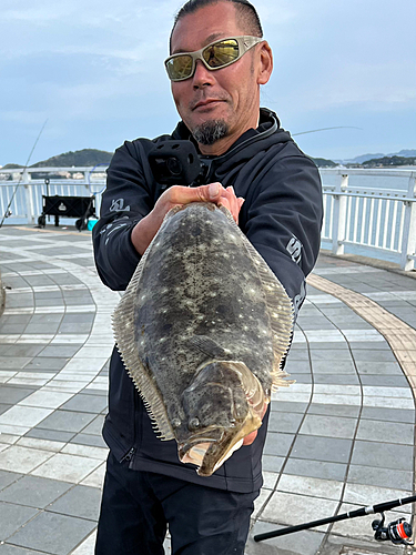 ヒラメの釣果