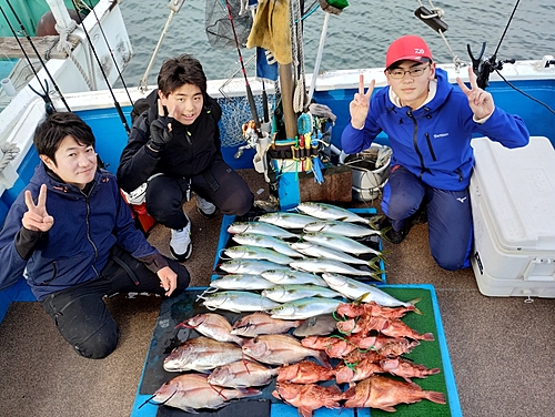 ヤズの釣果