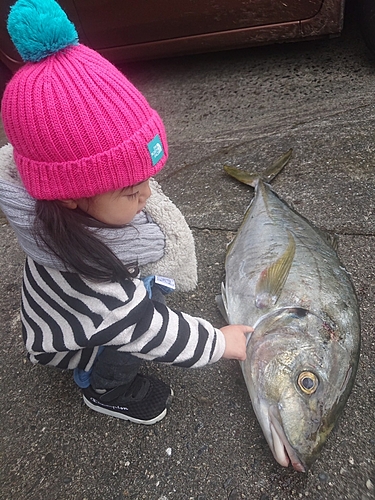 シマアジの釣果