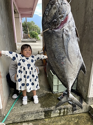 ロウニンアジの釣果