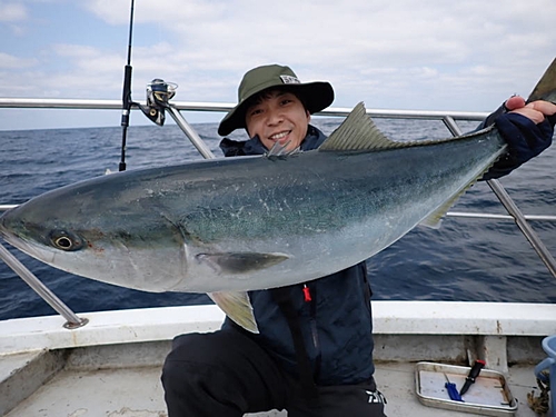 ブリの釣果