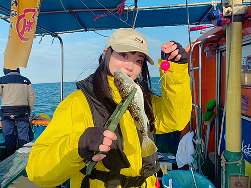 ショウサイフグの釣果