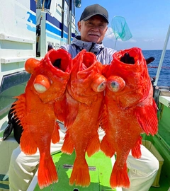 アコウダイの釣果