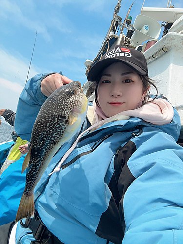 ショウサイフグの釣果