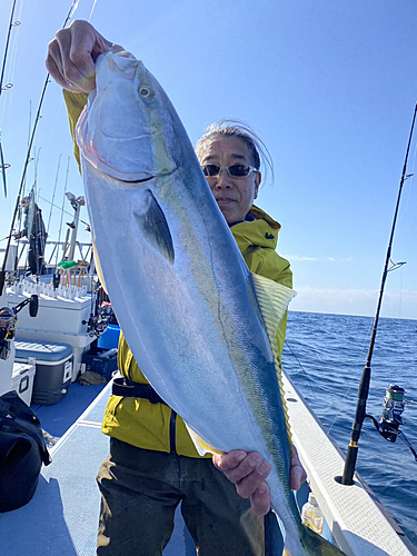 ワラサの釣果