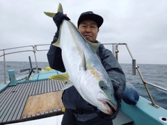 ヒラマサの釣果