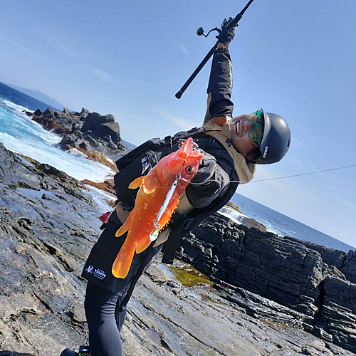 アカハタの釣果