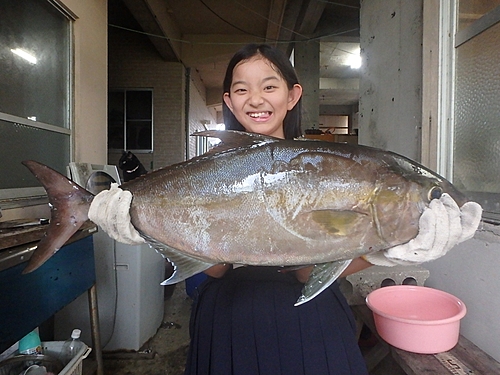 ヒレナガカンパチの釣果