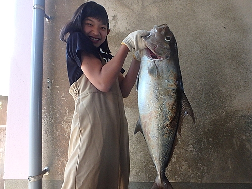 ヒレナガカンパチの釣果