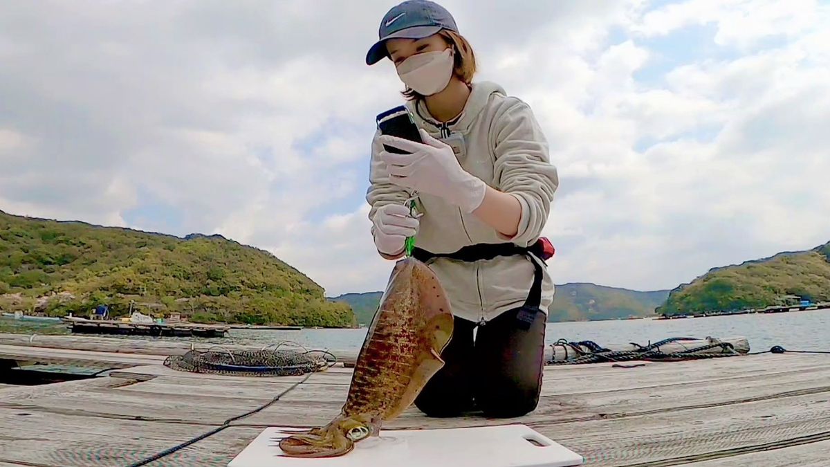 釣りガールみかんさんの釣果 2枚目の画像