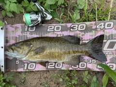 スモールマウスバスの釣果