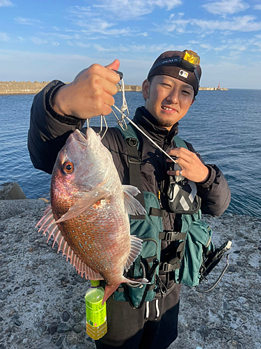 タイの釣果