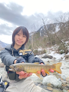 イワナの釣果