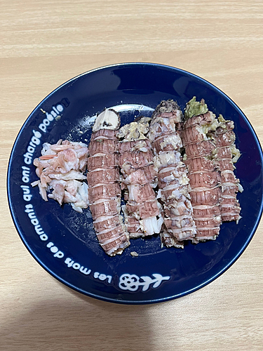 シャコエビの釣果