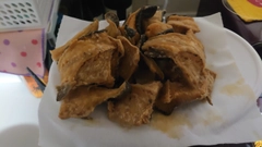 ニジマスの釣果
