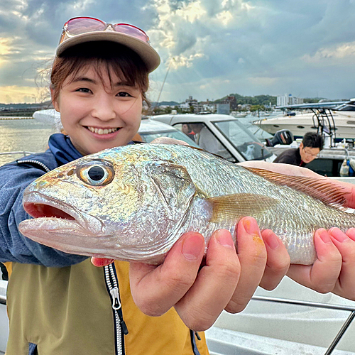 イシモチの釣果