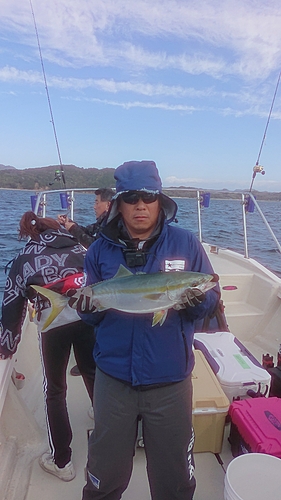 ハマチの釣果