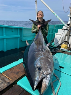 クロマグロの釣果