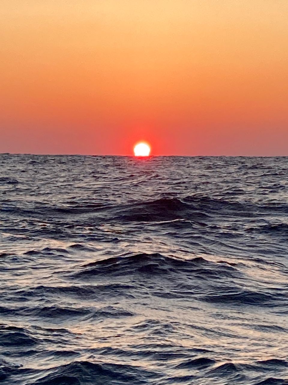 ハタタテハゼさんの釣果 2枚目の画像