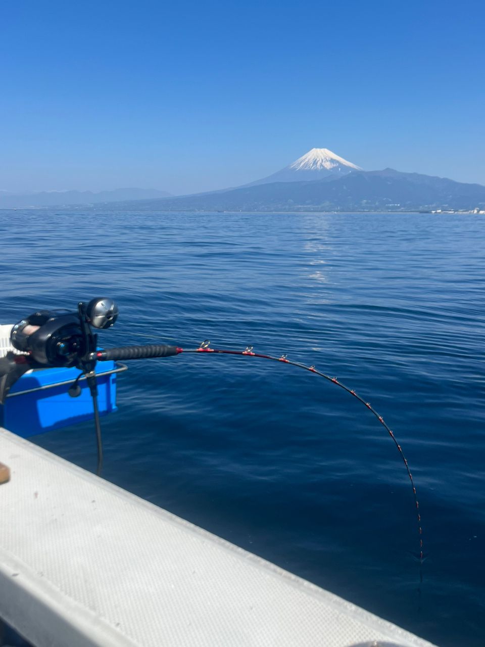 カジュエさんの釣果 2枚目の画像