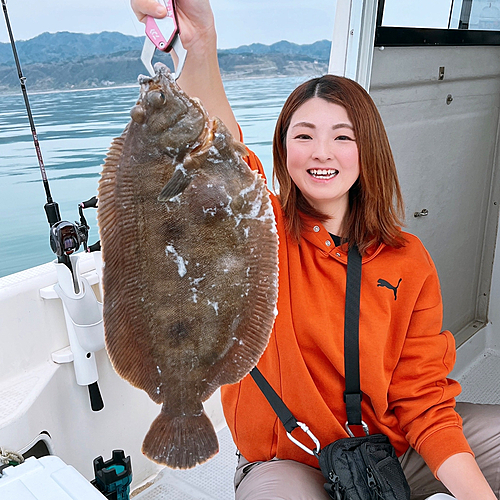 カレイの釣果