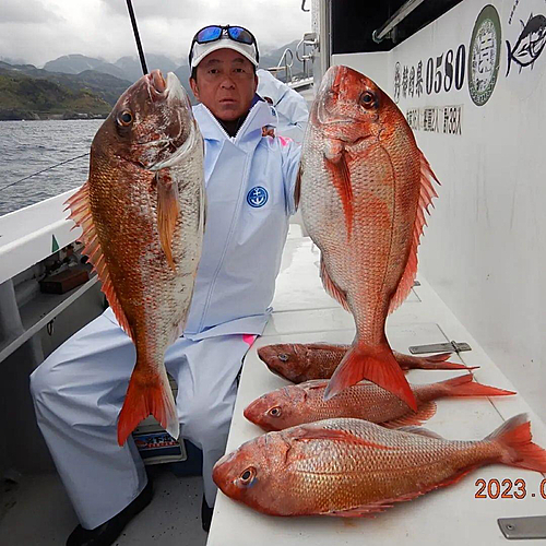 マダイの釣果