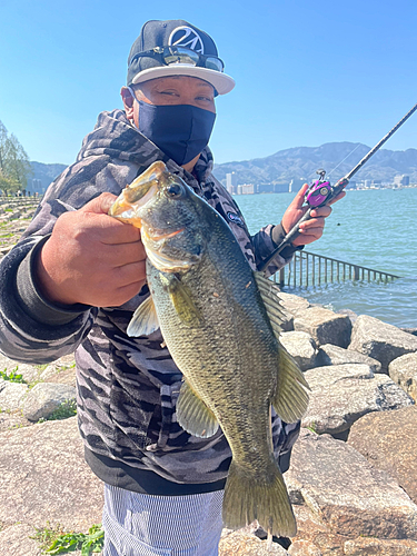 ブラックバスの釣果