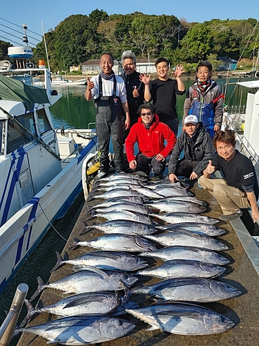 ビンチョウマグロの釣果