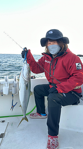 メジロの釣果