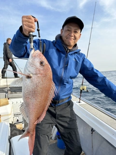 マダイの釣果