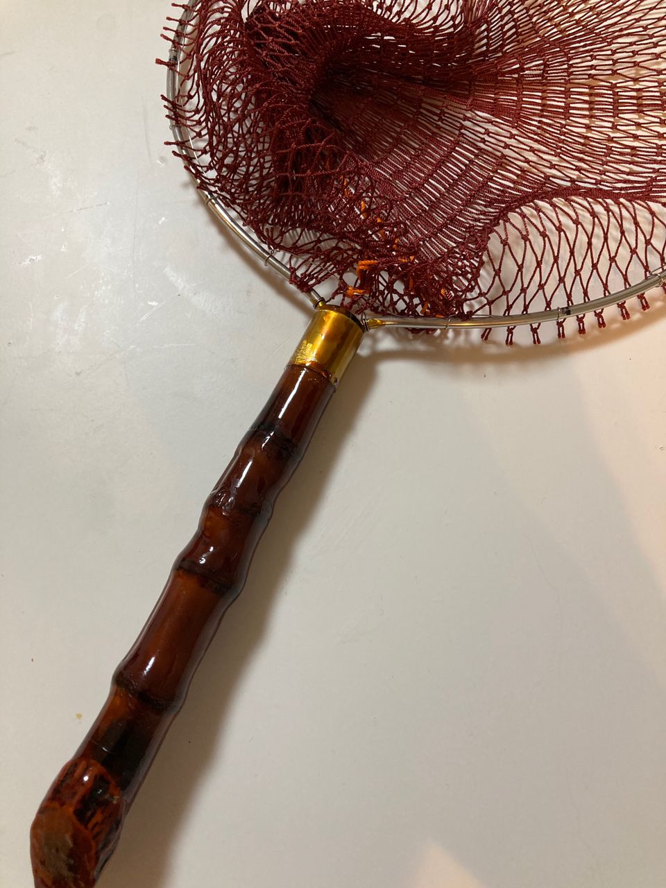 ハタタテハゼさんの釣果 3枚目の画像