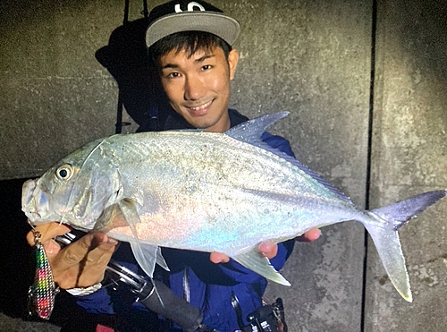 オニヒラアジの釣果