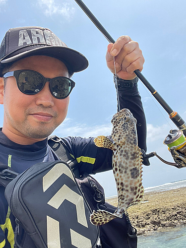 カンモンハタの釣果