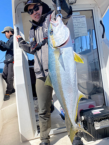 ヒラマサの釣果