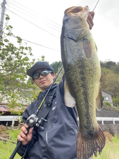 ラージマウスバスの釣果