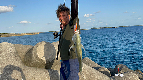 オニヒラアジの釣果