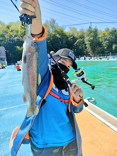 ニジマスの釣果