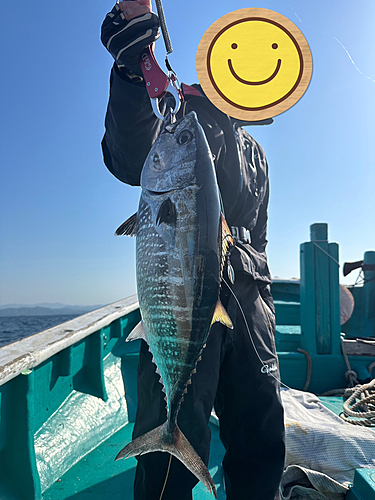 タイの釣果