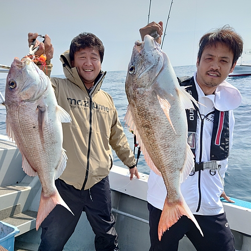 マダイの釣果