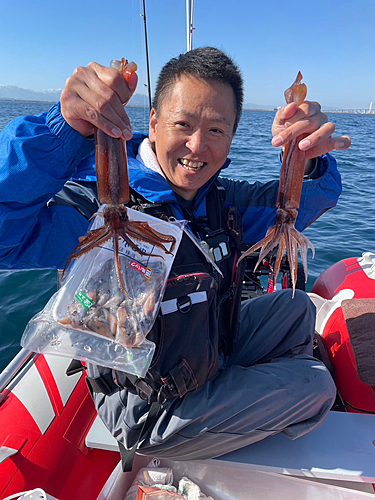 スルメイカの釣果