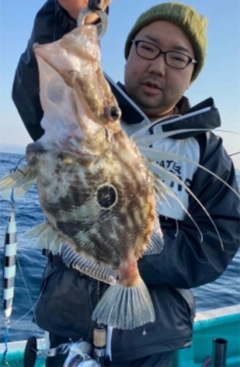 マトウダイの釣果