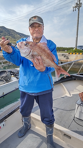 タイの釣果